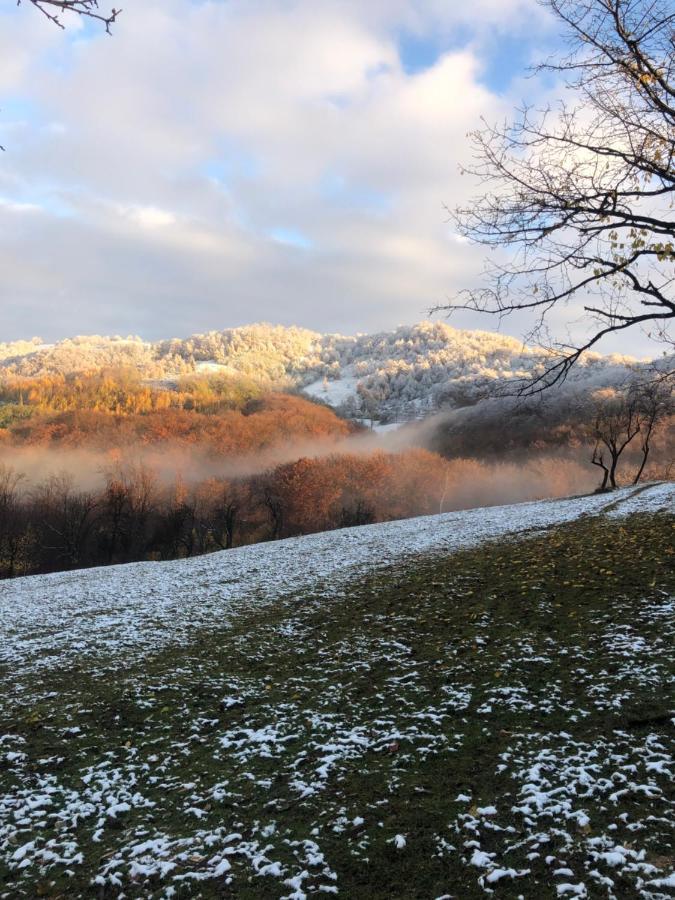 Отель Casuta Bunicilor Isverna Экстерьер фото